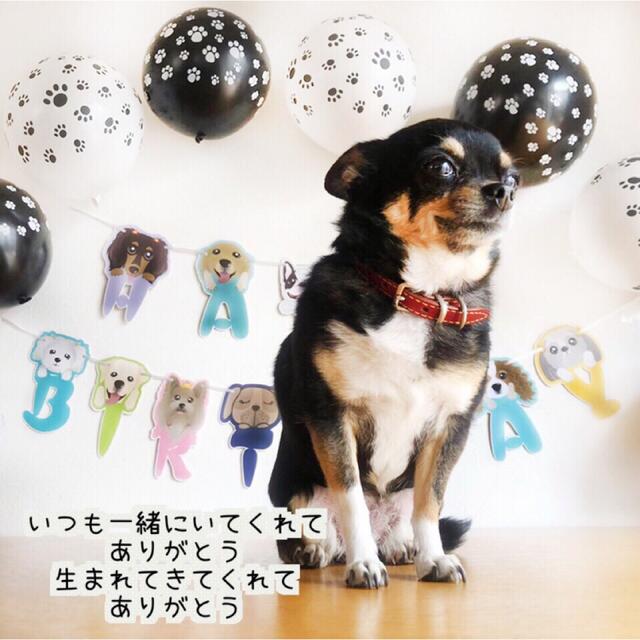 ペットのワンちゃんの誕生日バルーンセット♡愛犬のBIRTHDAYに♡送料無料 キッズ/ベビー/マタニティのメモリアル/セレモニー用品(アルバム)の商品写真