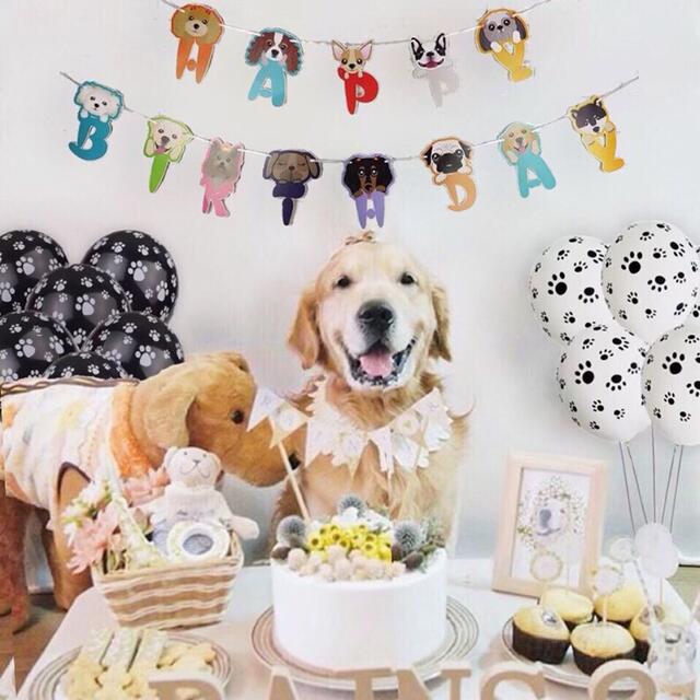 ペットのワンちゃんの誕生日バルーンセット♡愛犬のBIRTHDAYに♡送料無料 キッズ/ベビー/マタニティのメモリアル/セレモニー用品(アルバム)の商品写真