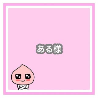 専用　ある様(オーダーメイド)