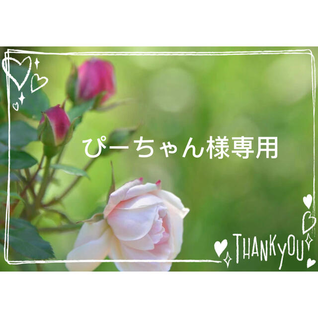 ぴーちゃん様専用 公式に取扱 radimmune.com