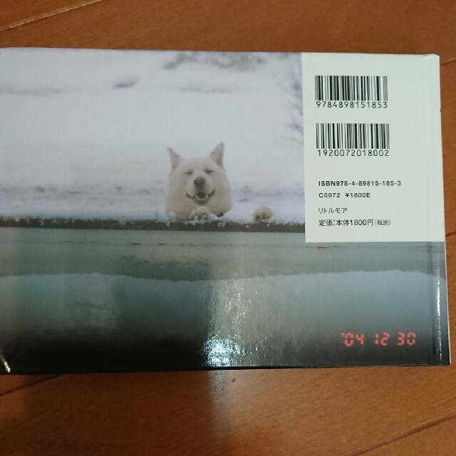 うめめ 他2冊(本音の置き場所、うめ版) エンタメ/ホビーの本(その他)の商品写真