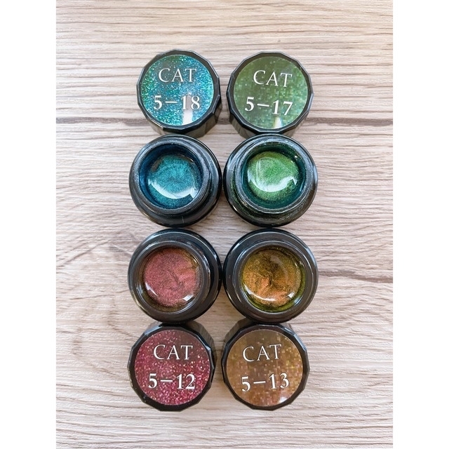 CAT マグネットジェルネイル4色セット コスメ/美容のネイル(ネイル用品)の商品写真