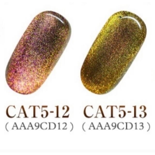 CAT マグネットジェルネイル4色セット コスメ/美容のネイル(ネイル用品)の商品写真