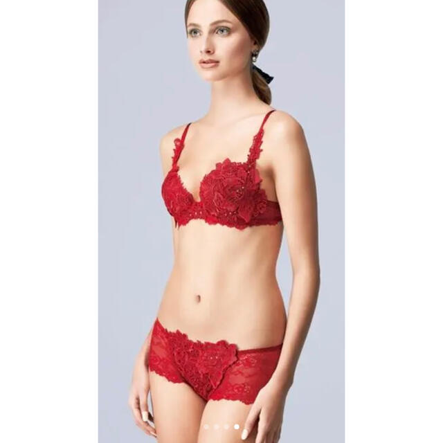 サルート 店舗限定 19G RE ブラジャー ソング-www.ecosea.do