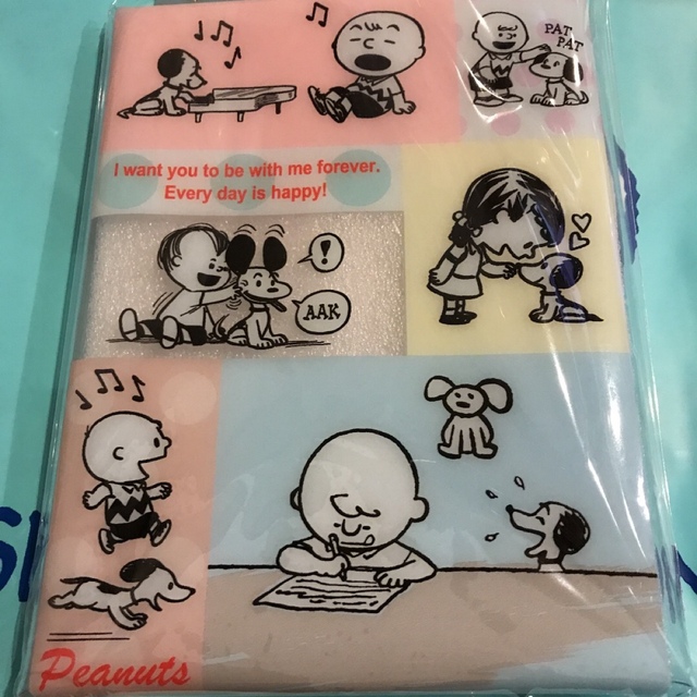 SNOOPY(スヌーピー)のヴィンテージスヌーピー　50'sスヌーピー　クリアケースLL エンタメ/ホビーのおもちゃ/ぬいぐるみ(キャラクターグッズ)の商品写真