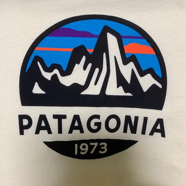patagonia(パタゴニア)の【Patagonia】定番ロゴ TシャツサイズS 薄黄 メンズのトップス(Tシャツ/カットソー(半袖/袖なし))の商品写真