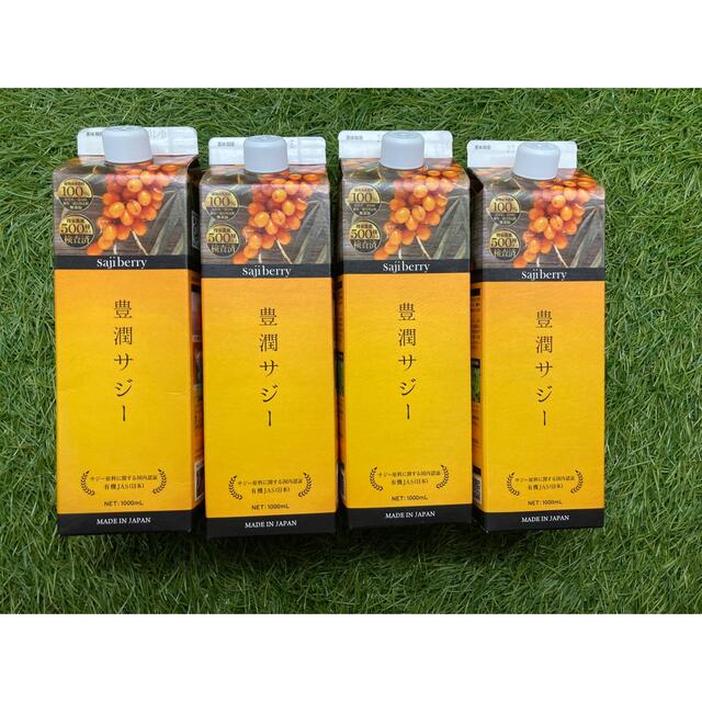 豊潤サジー4本セット1000ml(おまけ付き)