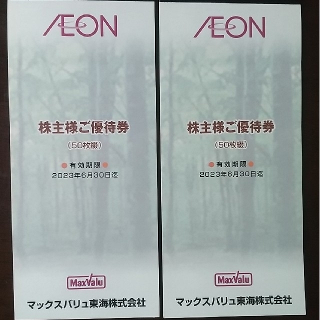 イオン株主優待割引券(２冊セット)