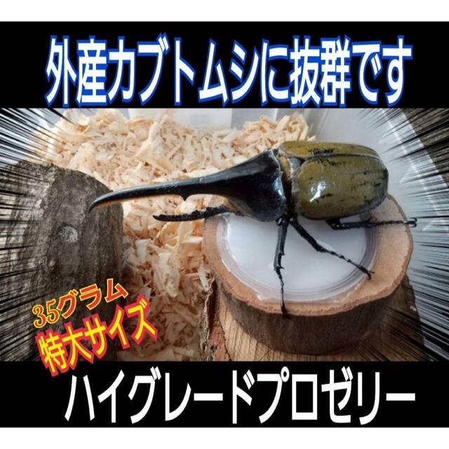 特大サイズ！ハイグレードプロゼリー【50個】外産カブトムシにお薦め！長寿効果抜群 その他のペット用品(虫類)の商品写真