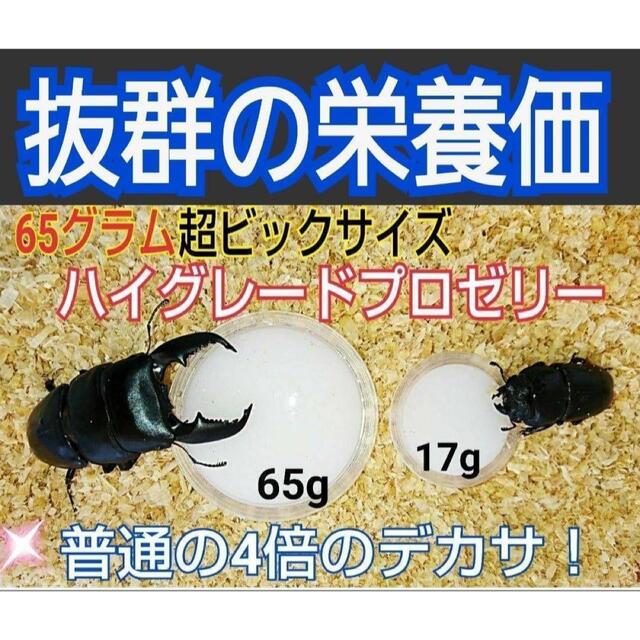 特大サイズ！ハイグレードプロゼリー【50個】外産カブトムシにお薦め！長寿効果抜群 その他のペット用品(虫類)の商品写真