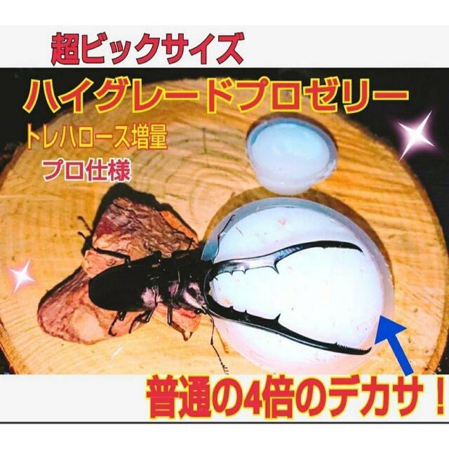 特大サイズ！ハイグレードプロゼリー【50個】外産カブトムシにお薦め！長寿効果抜群 その他のペット用品(虫類)の商品写真