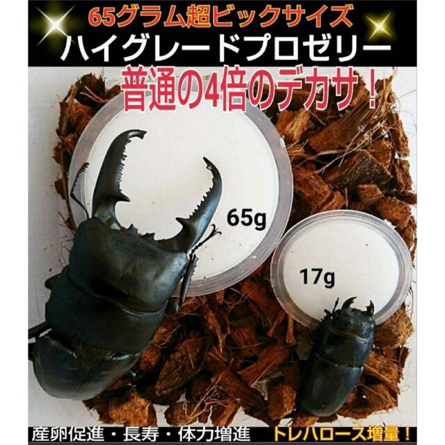 特大サイズ！ハイグレードプロゼリー【50個】外産カブトムシにお薦め！長寿効果抜群 その他のペット用品(虫類)の商品写真