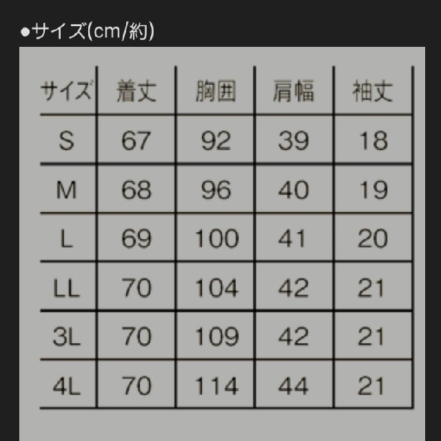 【エール ブラン】スクラブ ナース服 レディースのレディース その他(その他)の商品写真