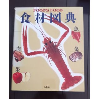 食材図典 Ｆｏｏｄ’ｓ　ｆｏｏｄ 未使用(料理/グルメ)