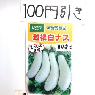 無農薬 越後白ナス しろなす 12粒(野菜)