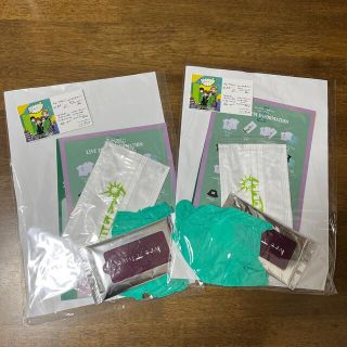 GReeeeN2021ツーナゲール　感染症予防グッズ2セット(ミュージシャン)