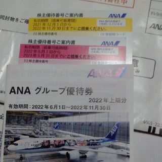 エーエヌエー(ゼンニッポンクウユ)(ANA(全日本空輸))の全日本空輸　株主優待２枚(その他)