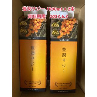 豊潤サジー 1000ml ×2本(その他)