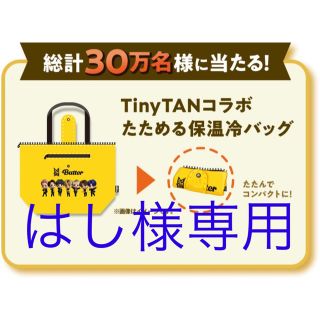 タイニータン　tinytan 保冷バッグ(アイドルグッズ)