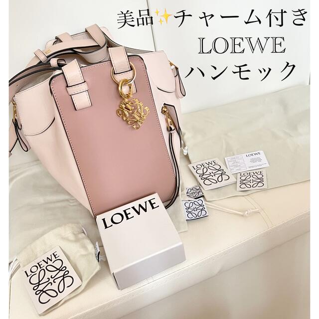 LOEWE(ロエベ)の美品定価34万 LOEWE ブラッシュマルチトーン チャーム付き ハンモック  レディースのバッグ(ショルダーバッグ)の商品写真