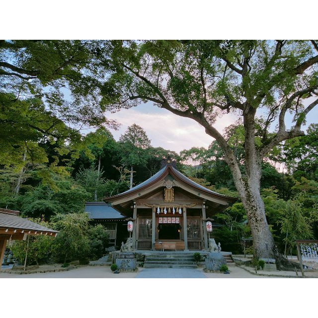 鬼滅の刃　聖地！！　福岡太宰府　竈門神社　福ふくろう守り　ゴールド エンタメ/ホビーの漫画(その他)の商品写真