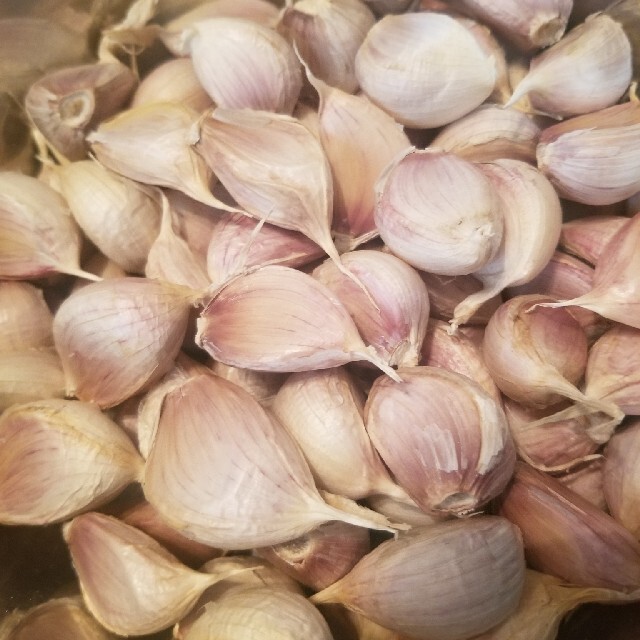 熊本県産 無農薬 にんにくバラ500g 食品/飲料/酒の食品(野菜)の商品写真