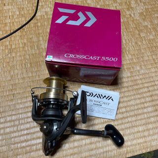 ダイワ(DAIWA)の【iwasaki 様 専用】ダイワ　リール　クロスキャスト　5500(リール)