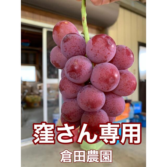 【50%OFF】 倉田農園 窪様 発送ブドウ お支払いカート フルーツ 【50%OFF】 倉田農園 窪様 発送ブドウ お支払いカート フルーツ