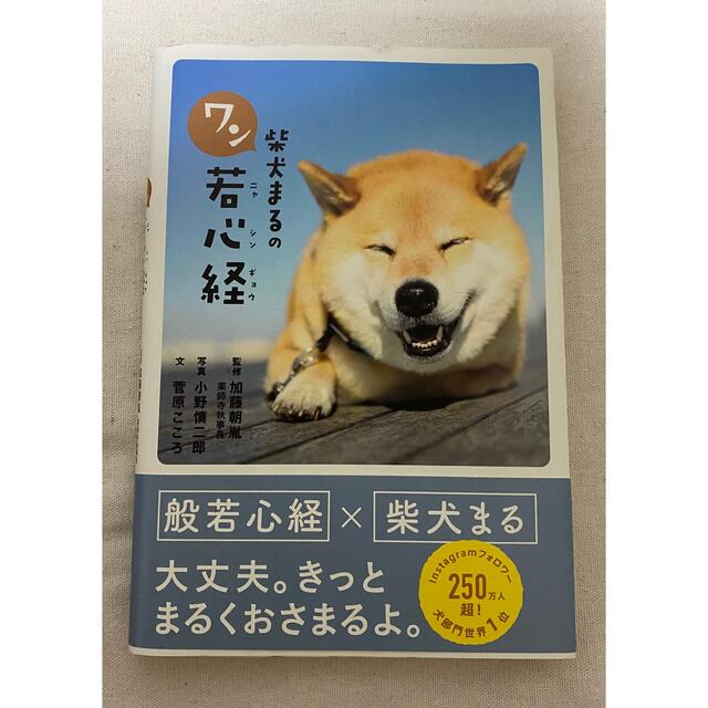 柴犬まるのワン若心経 エンタメ/ホビーの本(その他)の商品写真