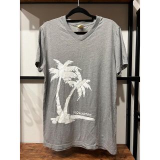 ホリスター(Hollister)のHollister Tシャツ(Tシャツ(半袖/袖なし))