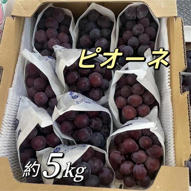 ¥790沖縄ピオーネ　種無し  約5kg   7房〜11房　ぶどう