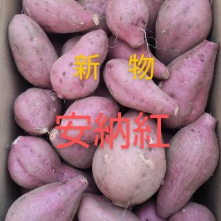 種子島産安納紅ﾐﾆﾐﾆ・2Sサイズ混合1キロ(野菜)