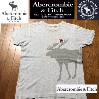 アバクロンビーアンドフィッチ(Abercrombie&Fitch)のAbercrombie&Fitch、アバクロンビーアンドフィッチ　Tシャツ(Tシャツ/カットソー(半袖/袖なし))