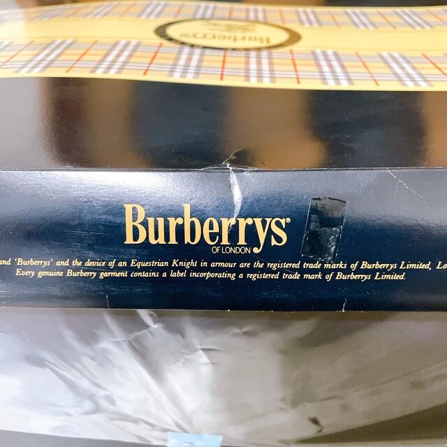 BURBERRY(バーバリー)のBURBERRYS 羽毛掛け布団 2枚セット ペア ホワイトダックダウン90% インテリア/住まい/日用品の寝具(布団)の商品写真