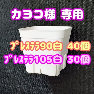 【スリット鉢】プレステラ90白40個 他 多肉植物 プラ鉢(プランター)