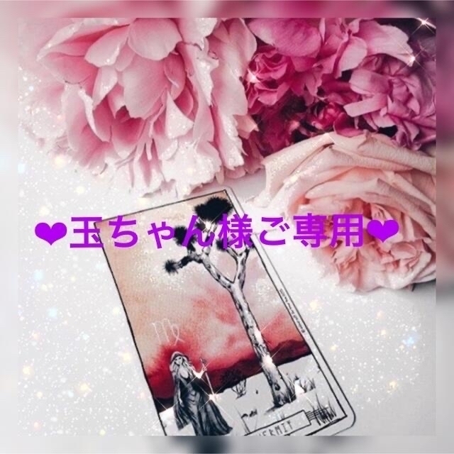 玉ちゃん様ご専用❣️の通販 by ☆ L☆ ラクマ 【ポイント10倍