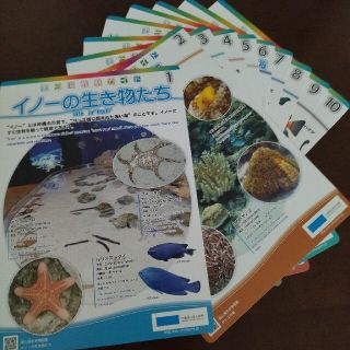 美ら海生き物図鑑🐠1〜10【匿名配送】(絵本/児童書)