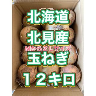 北海道産玉ねぎ　１２キロ　規格外品(野菜)