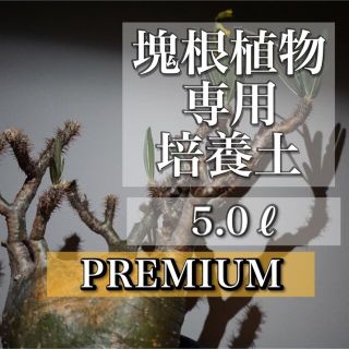 [プレミアム]塊根植物用培養土 5リットル(その他)