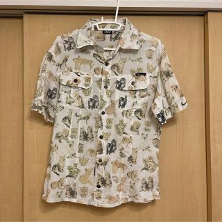 ドルチェアンドガッバーナ(DOLCE&GABBANA)のDOLCE＆GABBANA シャツ　猫　ドルガバ　ドルチェ&ガッバーナ(シャツ)