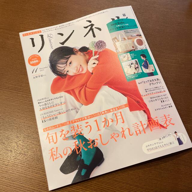 宝島社(タカラジマシャ)のリンネル11月号(雑誌のみ) その他のその他(その他)の商品写真