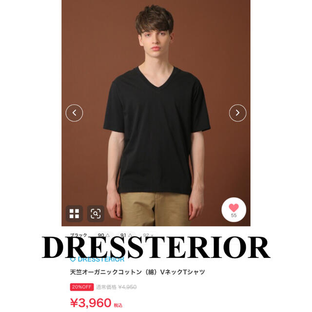 DRESSTERIOR(ドレステリア)のDRESSTERIOR 天竺オーガニックコットン VネックTシャツ ブラック メンズのトップス(Tシャツ/カットソー(半袖/袖なし))の商品写真