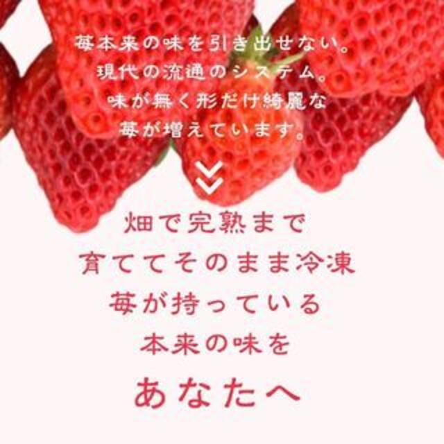 国産無添加冷凍いちご越後姫約1000g×4個合計4kgおまけの苺アイス付き