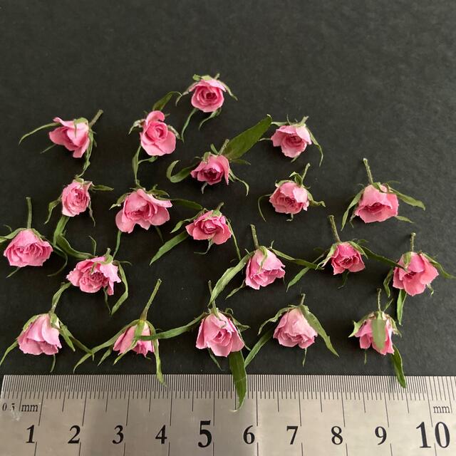 ミニ薔薇ドライフラワー　No.3 ハンドメイドのフラワー/ガーデン(ドライフラワー)の商品写真