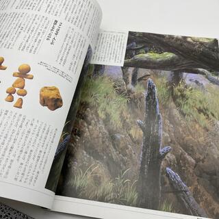 別冊COMIC BOX vol.2 「もののけ姫」 を読み解く/才谷遼 〈大型本