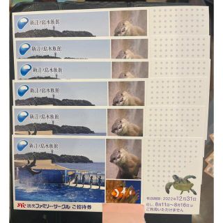 2枚セット　新江ノ島水族館　 招待券　12/31まで(水族館)