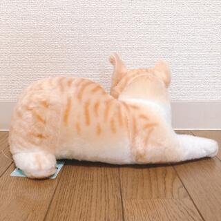 新品　セレブリティキャット　チャトラ　リアルキャット　ぬいぐるみ