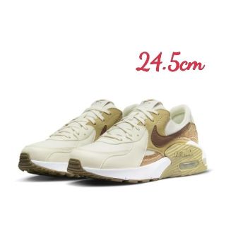 ナイキ(NIKE)のNIKE エアマックス エクシー DJ1975-001(スニーカー)