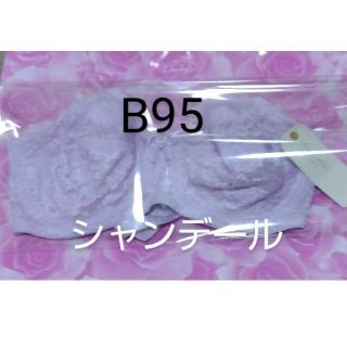 シャンデール　B95 　補正下着　ブラジャー(ブラ)