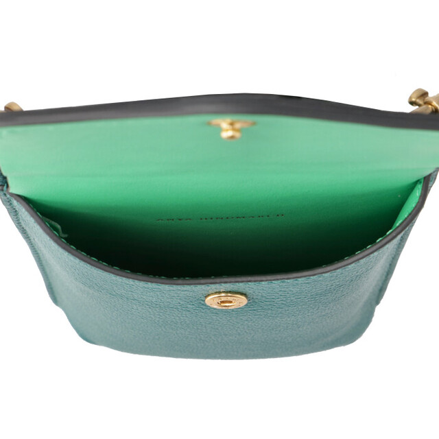 ANYA HINDMARCH(アニヤハインドマーチ)のANYA HINDMARCH フォーンケース FROG  ショルダー レディースのバッグ(ショルダーバッグ)の商品写真